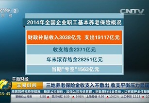 上海邦智商务咨询 全球化视野下的企业策略赋能者