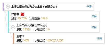 有限合伙企业模式下的商务咨询服务探索——以上海金鎏商务咨询合伙企业为例