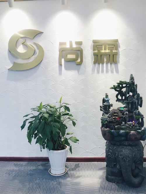 发布国内外广告,企业管理咨询,企业形象策划,公共关系服务,商务咨询